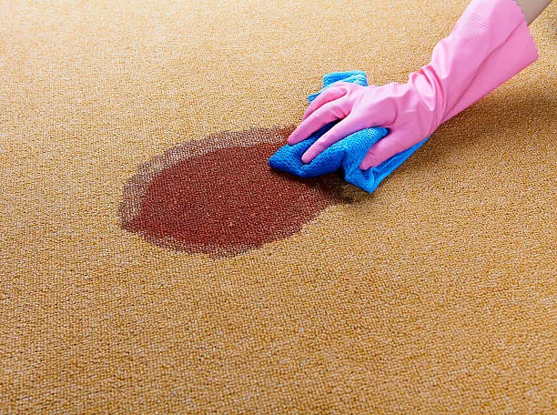 Carpet Cleaning in Boston, Massachusetts - Professional Service